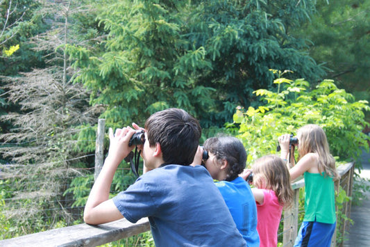Best Hunting Binoculars: Shocking Technology and Tips Here!