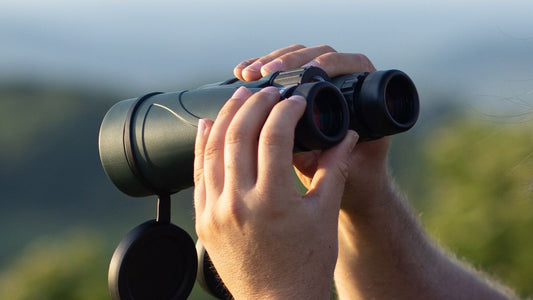 Best Binoculars for Fishing: Which Ones Stand Out?